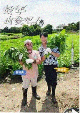 亲亲影视综艺片单 一桌四季海报